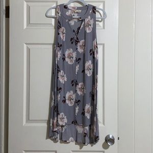 Barely Worn Eden in Love Sheer High Low Dress